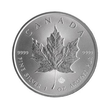 Aanbieding: Zilveren Maple Leaf munt 1 troy ounce, Verzenden