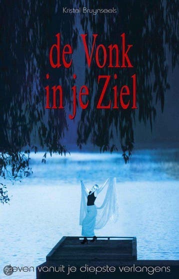 De vonk in je ziel - K. Bruynseels 9789055991396, Verzenden, Gelezen, K. Bruynseels