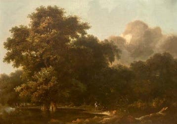 Jan Gabrielsz. Sonjé (1625-1707), Attributed to - Wooded