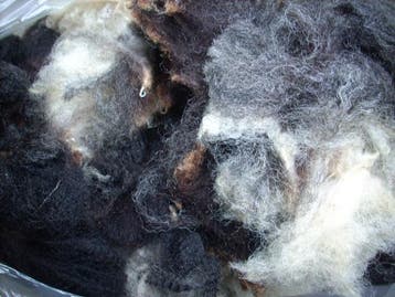 schapenwol spinnen  wol vilten spinnewiel spinwol  vachtvilt, Nieuw, Spinwol