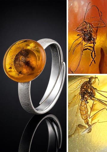 Gloeiende honingkleurige Baltic Amber-ring – dubbele