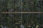 Bernhard Lang - Deep_Mirroring_Forest_011, Diptych