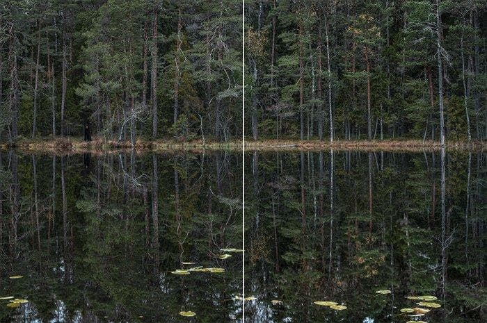 Bernhard Lang - Deep_Mirroring_Forest_011, Diptych, Antiek en Kunst, Kunst | Designobjecten