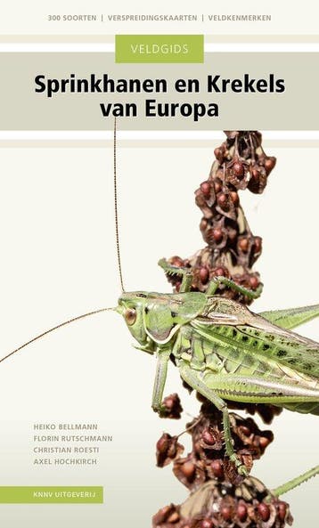 9789050117326 Veldgids - Veldgids Sprinkhanen en krekels ..., Verzenden, Nieuw, Heiko Bellmann