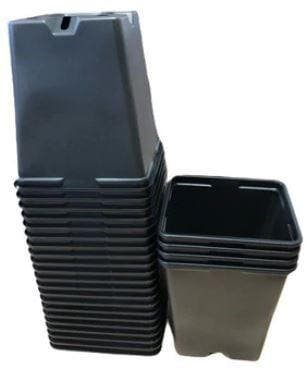 Kweekpotten Vierkant Zwart 9x9x10 cm pak ca. 100 stuks, Ophalen of Verzenden, Nieuw
