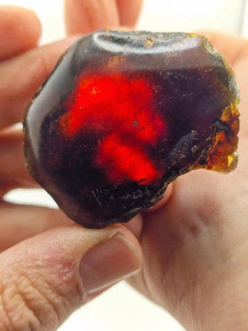 Natuurlijke amber ruwe partij – Donker honingamber Monsters-