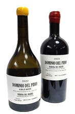 2022 Dominio del Pidio albillo, white wine & 2022 Dominio, Verzamelen, Wijnen, Nieuw