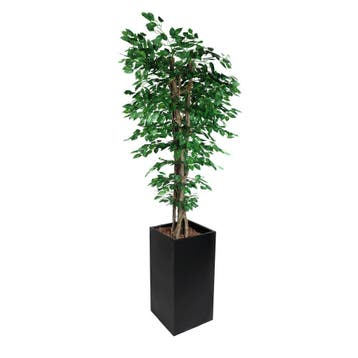 GGM Gastro | Kunstplant ficus - 210cm - met pot | PGBTBTN, Verzenden, Nieuw in verpakking
