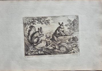 Francis Barlow (c. 1626 – 1704) - Jan Griffier I (c.1652, Antiek en Kunst
