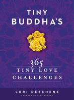 Tiny Buddhas 365 Tiny Love Challenges 9780062385857, Verzenden, Gelezen, Lori Deschene