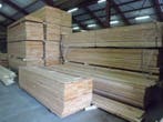 Douglas vloerdelen  18 x 175mm, 3.00m -  4.00m en 5.00m, Minder dan 25 mm, Nieuw, Plank, 300 cm of meer