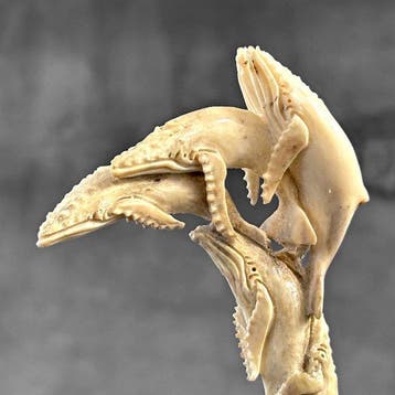 Snijwerk, NO RESERVE PRICE - Blue Whales carving from Deer