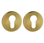 Set van twee pc-plaatjes ø52x6mm Permafix PVD goud, Verzenden, Nieuw