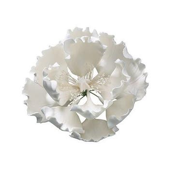 Culpitt Gumpaste Pioen Wit 10cm, Verzenden, Nieuw