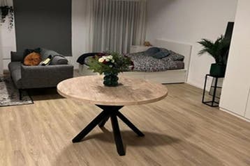 Studio Hooge Steenweg in Den Bosch, Minder dan 20 m², S-Hertogenbosch
