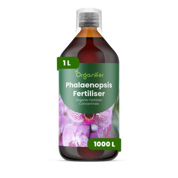 Phalaenopsis Vloeibare meststof - 1 liter, Verzenden, Mest