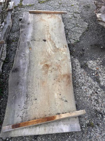 5X Boomstambladen, complete partij 270,- REF 800, Doe-het-zelf en Verbouw, Nieuw, Ophalen of Verzenden, 250 tot 300 cm, Plank