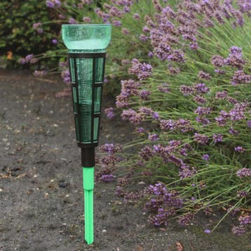 Talen Tools Regenmeter met Grondpen - 350 mm (Tuin), Ophalen of Verzenden, Nieuw