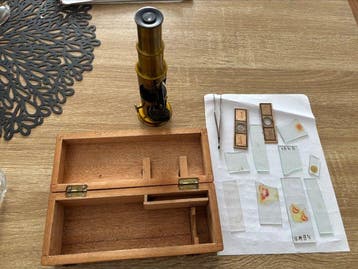 Monocular compound microscope - 1850-1900