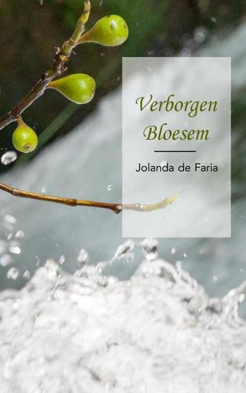 Verborgen Bloesem - Jolanda de Faria 9789402133325, Verzenden, Gelezen, Jolanda de Faria