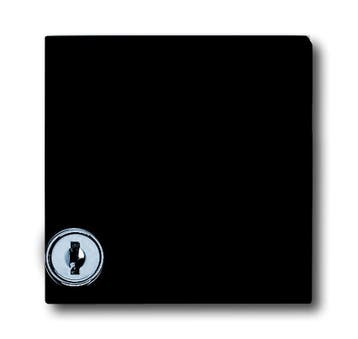 ABB Busch-Jaeger All-Weather Adapter Cover IP44 2118 GKSL-35, Verzenden, Nieuw, Overige typen