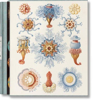 9783754406106 The Art and Science of Ernst Haeckel, Verzenden, Nieuw, Julia Voss