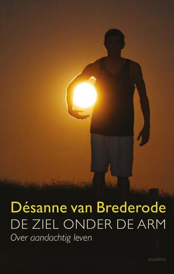 De ziel onder de arm - Désanne van Brederode 9789021441870, Verzenden, Gelezen, Désanne van Brederode