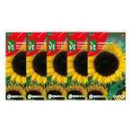 Bloemzaden zonnebloem | VT | 5 stuks, Verzenden