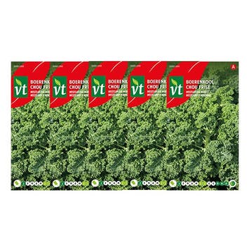Boerenkool zaad | VT | 5 stuks, Verzenden