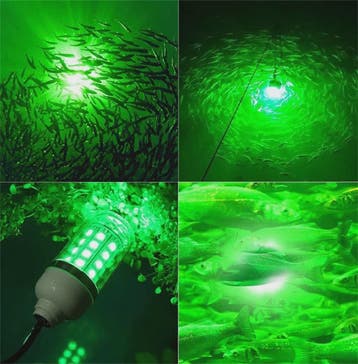 Waterdichte LED Visserslamp Onderwater - 12V AC/DC - Trekt V, Verzenden, Nieuw