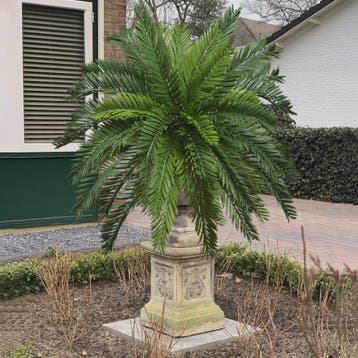 Kunst Kokospalm 45cm - Levensechte Tropische Kunstplant voor, Verzenden
