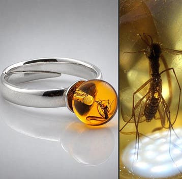 Kristalheldere Baltische Amber Ring – Zeldzame