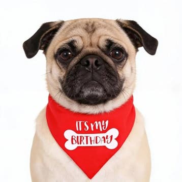 Honden cadeau- en snack pakket met 3 muffins en 2 speeltjes, Dieren en Toebehoren, Verzenden, Nieuw, Hondenspeelgoed