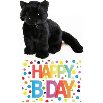 Zwarte kat knuffel - pluche - 20 cm - Happy Birthday kaart, Verzenden, Nieuw