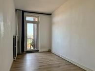 Kamer Adelbert van Scharnlaan in Maastricht, Overige soorten, Limburg