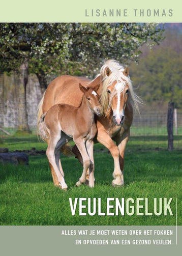 9789492284297 Veulen Geluk Lisanne Thomas, Verzenden, Nieuw, Lisanne Thomas