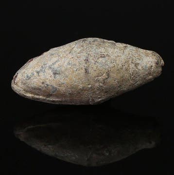 Oud-Romeins Lood Slingskogel met inscriptie COS / L PISO L