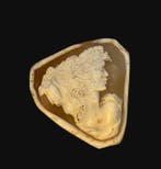 Snijwerk, Intaglio carving shell cameo - Schelp
