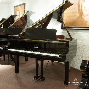 Yamaha C6 PE messing Vleugel, Nieuw