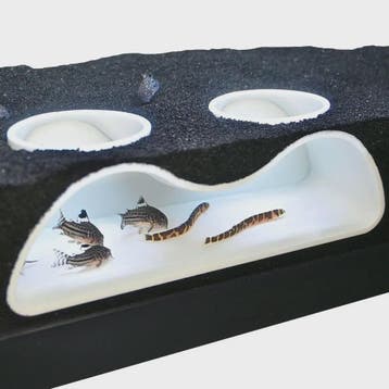 Aquarium Tunnel Cave - Dubbele Ondergrondse Schuilplaats voo, Verzenden, Nieuw