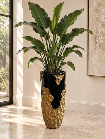 Bloempot - XXL Indoor Bloempot - Zwart Hoogglans met