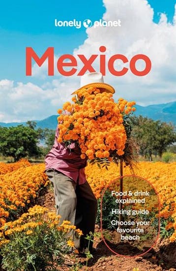 Lonely Planet Mexico | Nieuw, Ophalen of Verzenden, Nieuw, ...
