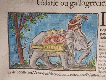 Sebastian Münster (1489–1552) - Cosmographie Universelle -