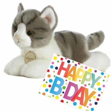 Pluche poes knuffel - grijs/wit - 20 cm - met wenskaart, Verzenden, Nieuw
