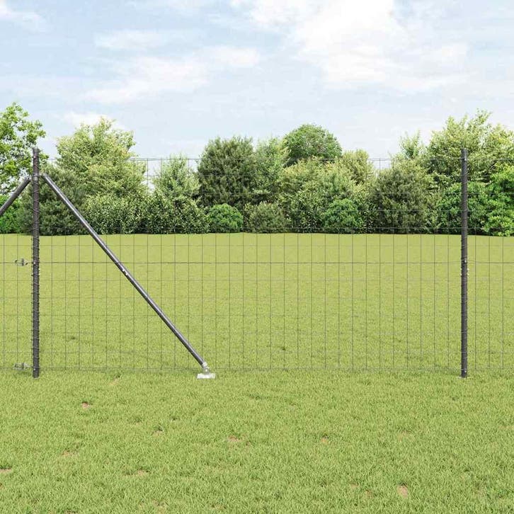 vidaXL Europese Heining met Punten 10 x 1,2 m PVC-Coated, Tuin en Terras, Schuttingen, Nieuw, IJzer, Verzenden