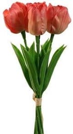 Tulpen Coral Zijden Merk: PURE 33 cm Bundel 5 stuks, Ophalen of Verzenden, Nieuw