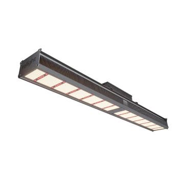 Ralight PowerShiner LED 1000 W, Ophalen of Verzenden, Nieuw
