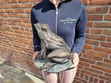 Beeld, XL Iron Frog 7.5kg - 24 cm - Gietijzer - 2026