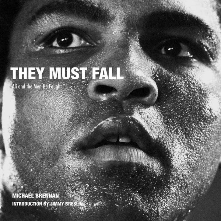 They Must Fall 9781788840187 Michael Brennan, Boeken, Taal | Engels, Zo goed als nieuw, Verzenden