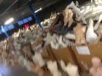 poppen onderdelen van etalagepop etalagepoppen mannequins, Ophalen